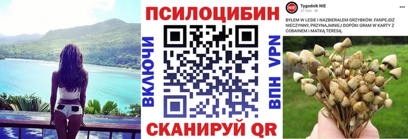 Псилоцибиновые грибы мухоморы  kraken онион  Тайга 