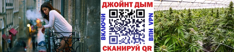 где найти наркотики  Тайга  мориарти какой сайт  Шишки марихуана сатива 